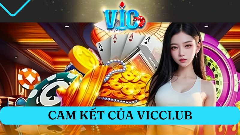 Cam kết của cổng game về chất lượng sản phẩm & dịch vụ