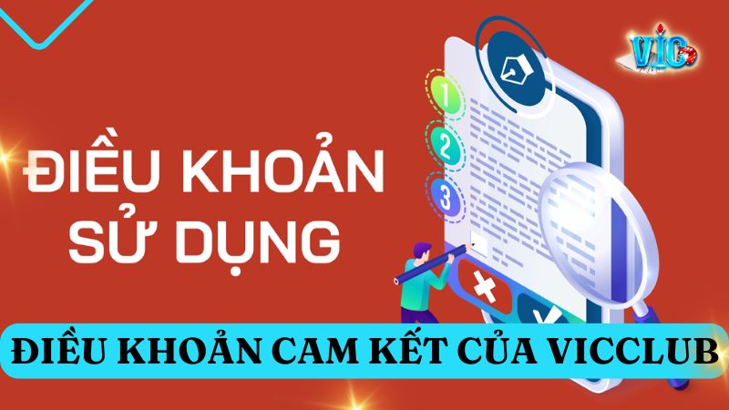 Điều khoản cam kết của cổng game với người chơi