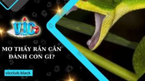 Mơ thấy rắn cắn đánh con gì